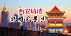 大骚逼视频网站中国陕西-西安城墙旅游风景区