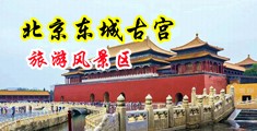 内射丰满湿润娇妻中国北京-东城古宫旅游风景区